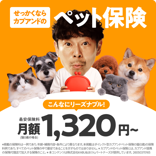 せっかくならカブアンドのペット保険